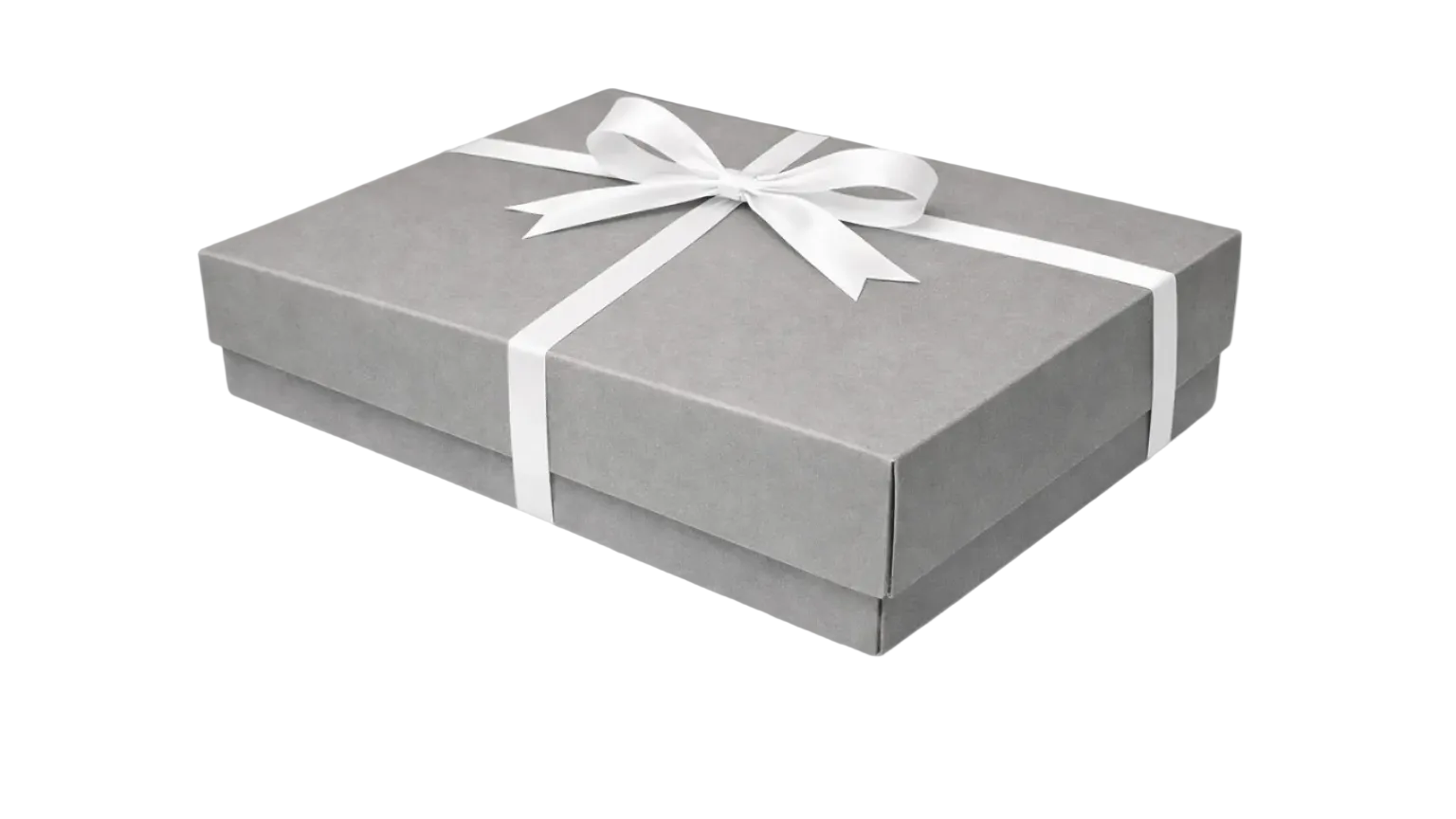 25x20x5 cm Gri Karton Kutu
