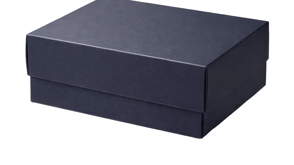 17,5x15x7 cm Lacivert Karton Kutu